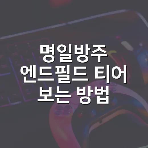 명일방주 엔드필드 티어 보는 방법, 초보자는 이렇게 고르면 됩니다 - 요약