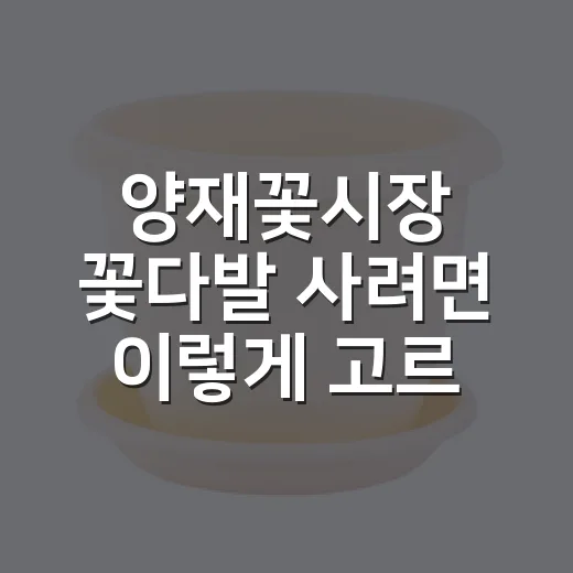 양재꽃시장 꽃다발 사려면 이렇게 고르면 실패 확률이 줄어요 - 요약
