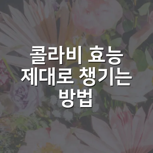 콜라비 효능 제대로 챙기는 방법, 먹기 전 알면 좋은 점 - 요약