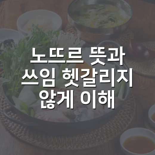 노뜨르 뜻과 쓰임 헷갈리지 않게 이해하는 방법 - 요약
