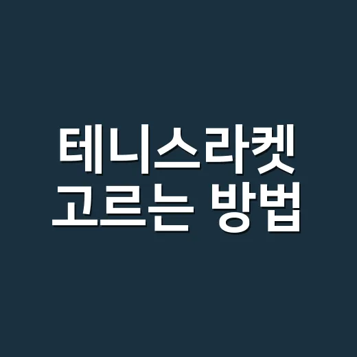 테니스라켓 고르는 방법, 초보자도 실패 줄이려면 이렇게 - 요약