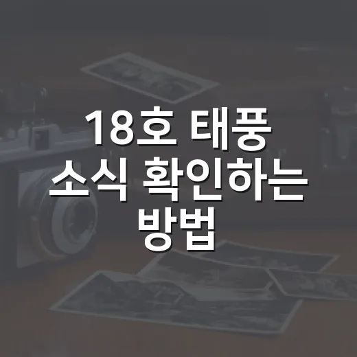 18호 태풍 소식 확인하는 방법, 경로보다 먼저 봐야 할 것들 - 요약