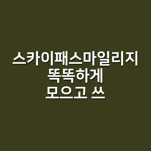 스카이패스마일리지 똑똑하게 모으고 쓰는 방법 - 요약