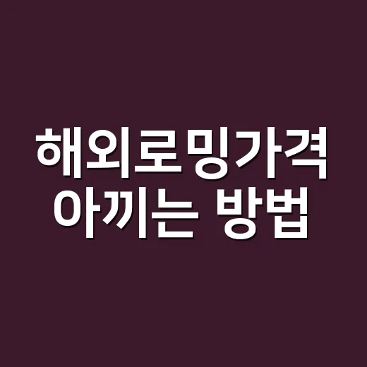 해외로밍가격 아끼는 방법, 여행 기간별로 이렇게 고르면 됩니다 - 요약
