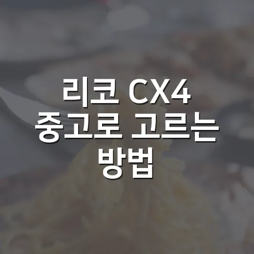 리코 CX4 중고로 고르는 방법, 감성 디카 입문자가 확인할 것들 - 요약