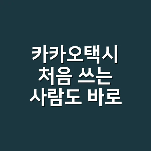 카카오택시 처음 쓰는 사람도 바로 부르는 방법 - 요약