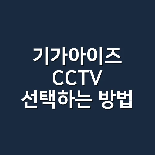 기가아이즈 CCTV 선택하는 방법, 매장 운영자가 먼저 확인할 것들 - 요약