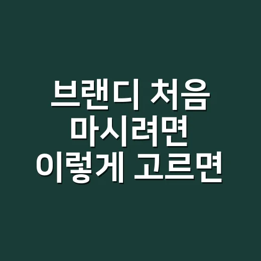 브랜디 처음 마시려면 이렇게 고르면 됩니다 - 요약