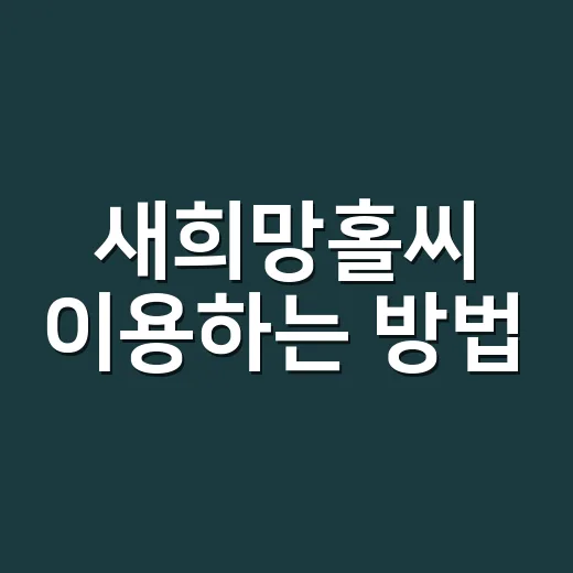새희망홀씨 이용하는 방법, 처음 알아볼 때 꼭 볼 조건과 순서 - 요약