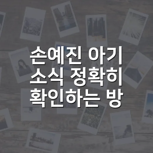 손예진 아기 소식 정확히 확인하는 방법 - 요약