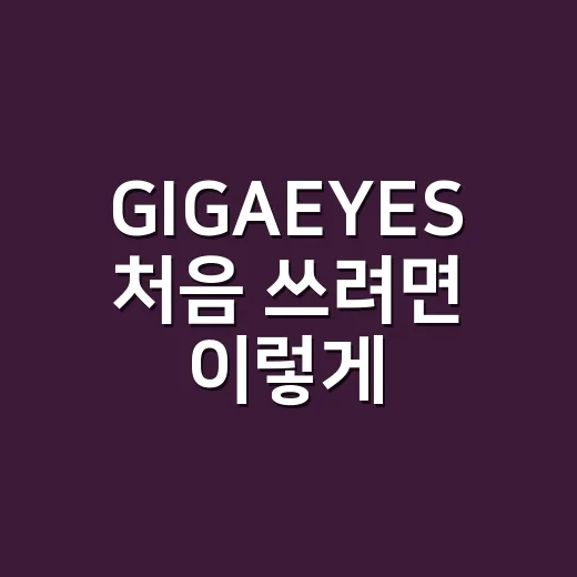 GIGAEYES 처음 쓰려면 이렇게 고르면 됩니다 - 요약