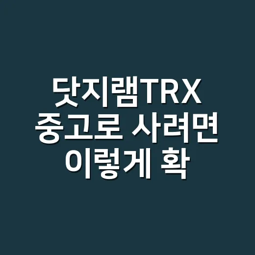 닷지램TRX 중고로 사려면 이렇게 확인하는 방법 - 요약
