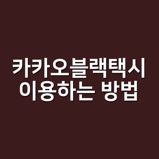 카카오블랙택시 이용하는 방법, 예약부터 요금 확인까지 - 요약