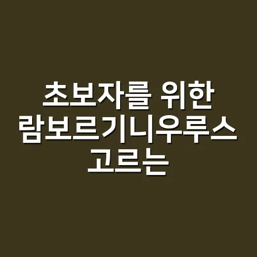 초보자를 위한 람보르기니우루스 고르는 방법: 가격보다 먼저 볼 것들 - 요약
