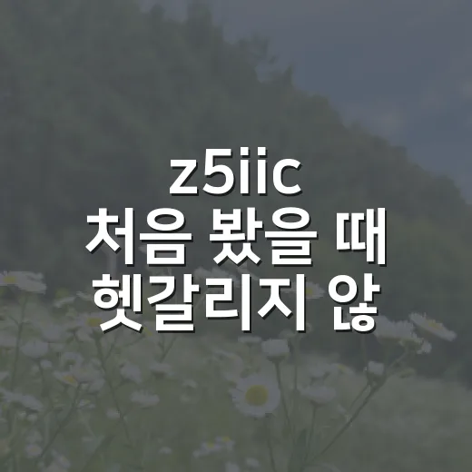z5iic 처음 봤을 때 헷갈리지 않고 확인하는 방법 - 요약