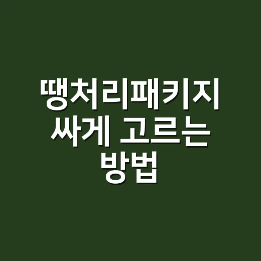 땡처리패키지 싸게 고르는 방법, 출발 전 꼭 확인할 것들 - 요약