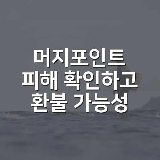 머지포인트 피해 확인하고 환불 가능성 챙기는 방법 - 요약