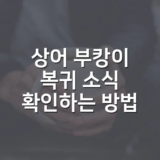 상어 부캉이 복귀 소식 확인하는 방법, 팬이라면 이렇게 챙기면 좋아요 - 요약