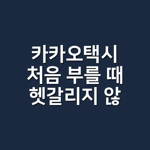 카카오택시 처음 부를 때 헷갈리지 않게 이용하는 방법 - 요약