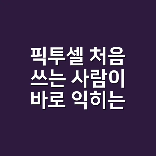 픽투셀 처음 쓰는 사람이 바로 익히는 방법 - 요약
