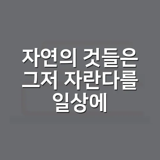 자연의 것들은 그저 자란다를 일상에 적용하는 방법 - 요약