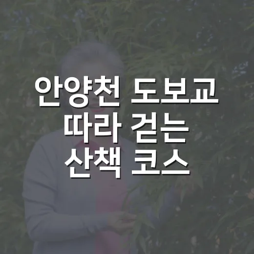 안양천 도보교 따라 걷는 산책 코스 고르는 방법 - 요약
