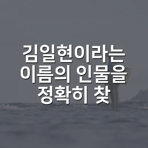 김일현이라는 이름의 인물을 정확히 찾는 방법 - 요약