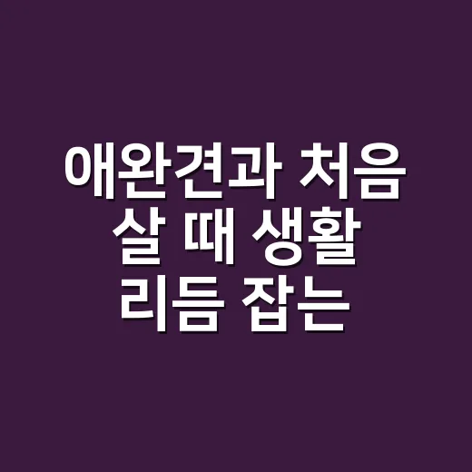 애완견과 처음 살 때 생활 리듬 잡는 방법 - 요약