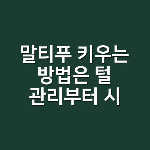 말티푸 키우는 방법은 털 관리부터 시작해요 - 요약