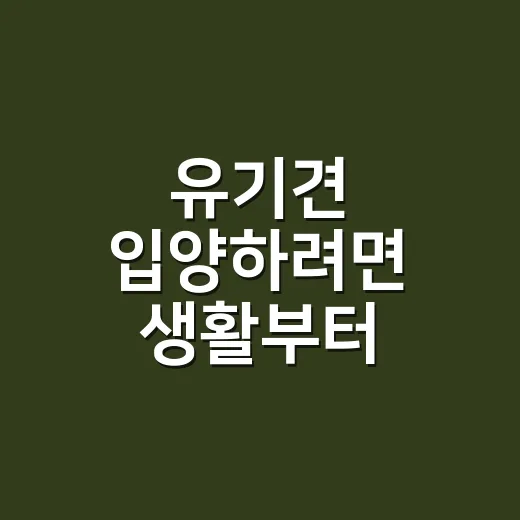 유기견 입양하려면 생활부터 맞춰보는 방법 - 요약