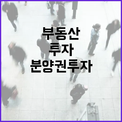 아파트 분양권 투자로 부동산 수익을 극대화하는 방법 - 요약