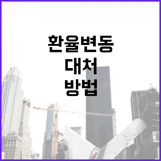 미국 환율 변동에 대처하는 방법 - 요약