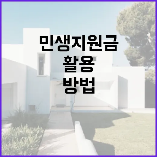 민생지원금을 효과적으로 활용하는 방법 - 요약