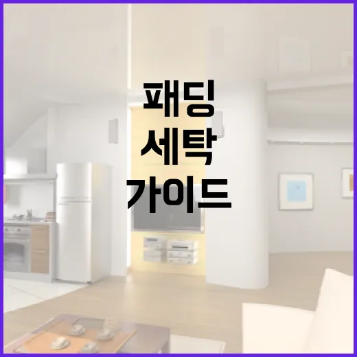 패딩을 깨끗하게 세탁하는 방법: 전문가 가이드 - 요약