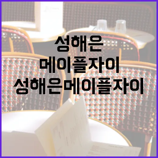 성해은 메이플자이 투자하는 방법 - 요약