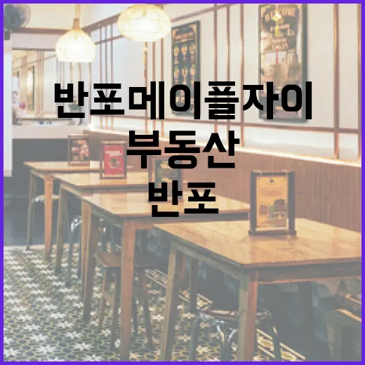 반포 메이플자이에서 성공적인 부동산 투자를 하는 방법 - 요약