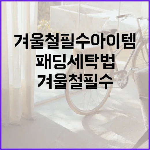 패딩 세탁법: 겨울철 필수 아이템을 오래 유지하는 방법 - 요약