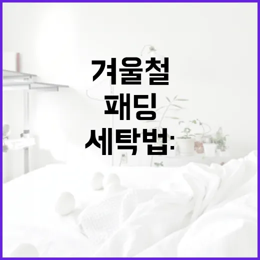 패딩 세탁법: 겨울철 옷을 깨끗하게 유지하는 방법 - 요약