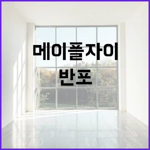 반포 메이플자이에 투자하는 방법: 전문가의 팁 - 요약