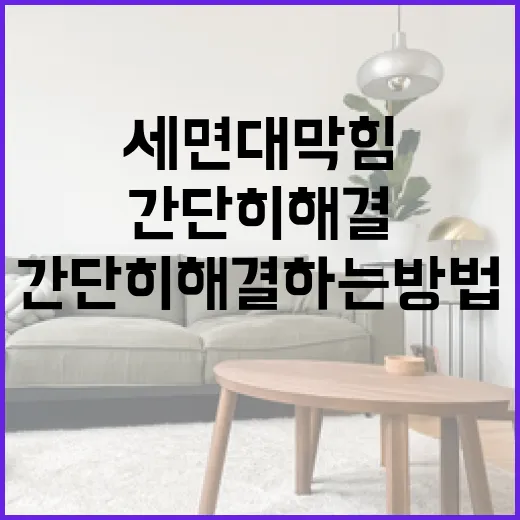 세면대 막힘을 간단히 해결하는 방법 - 요약