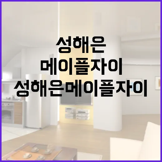 성해은 메이플자이를 투자하는 방법 - 요약