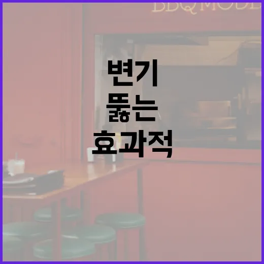 변기를 효과적으로 뚫는 방법: 전문가의 팁 - 요약