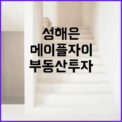 성해은 메이플자이에서 성공적인 부동산 투자 방법 - 요약