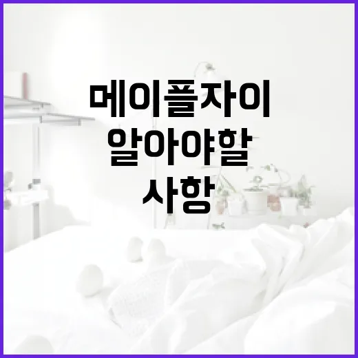 메이플자이 구매 시 알아야 할 필수 사항 - 요약