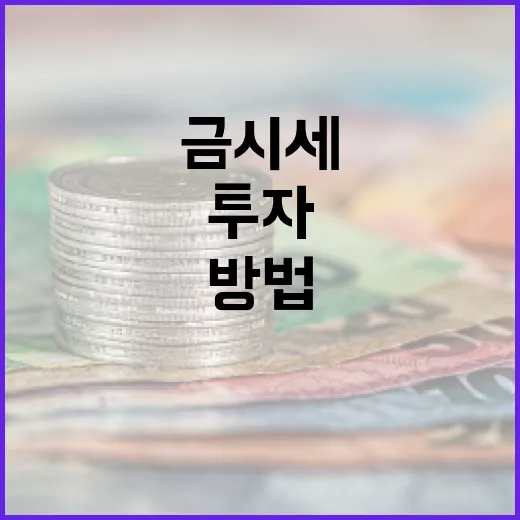 금시세를 이해하고 투자에 활용하는 방법 - 요약