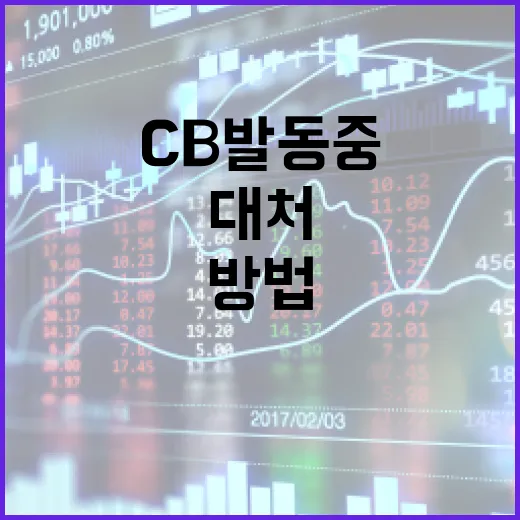 CB발동중인 부동산을 이해하고 대처하는 방법 - 요약