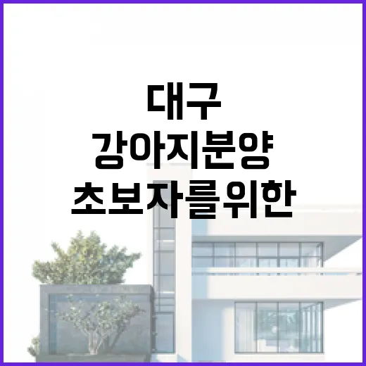 대구에서 강아지 분양받는 방법: 초보자를 위한 가이드 - 요약