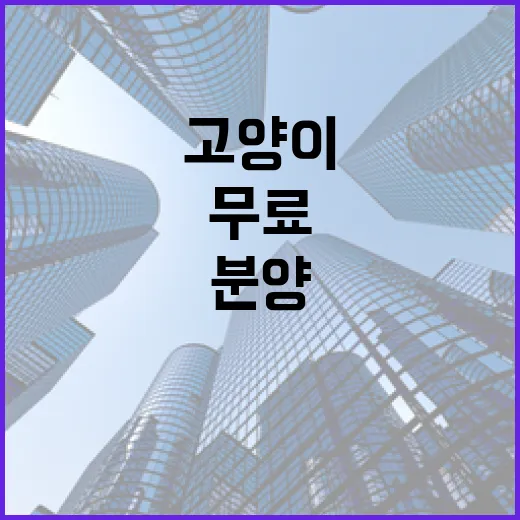 고양이를 무료로 분양받는 방법 - 요약