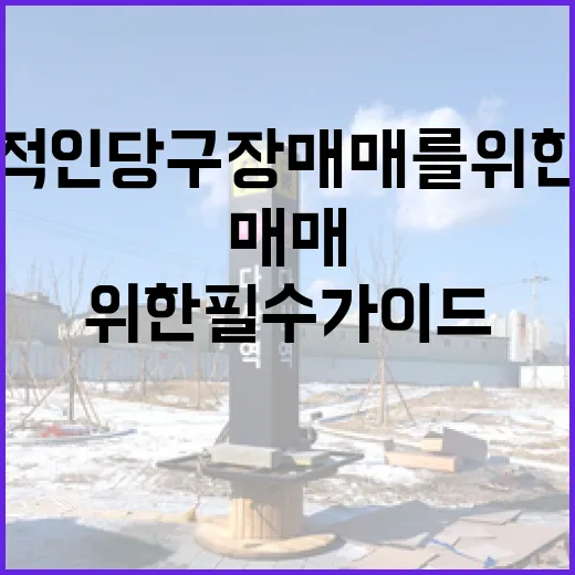 성공적인 당구장 매매를 위한 필수 가이드 - 요약
