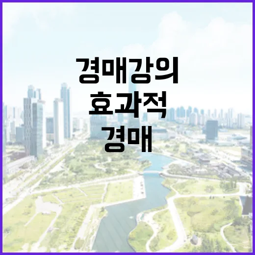 경매 강의를 효과적으로 활용하는 방법 - 요약